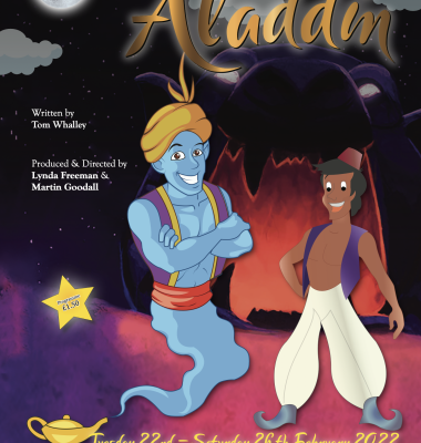 Aladdin programme