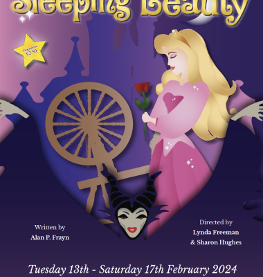 Sleeping Beauty programme